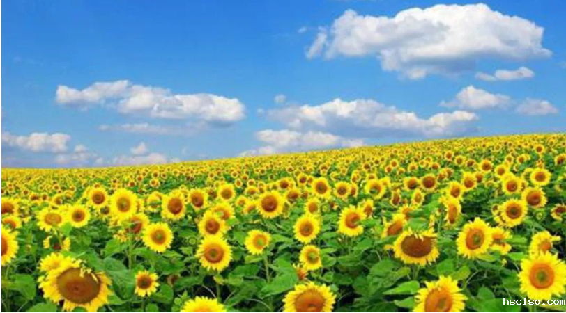 1609141847625897.png image.png