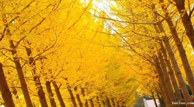 1609141857112213.png image.png