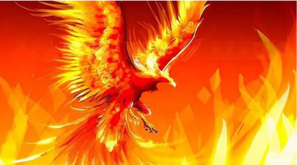 1610350393955305.png image.png