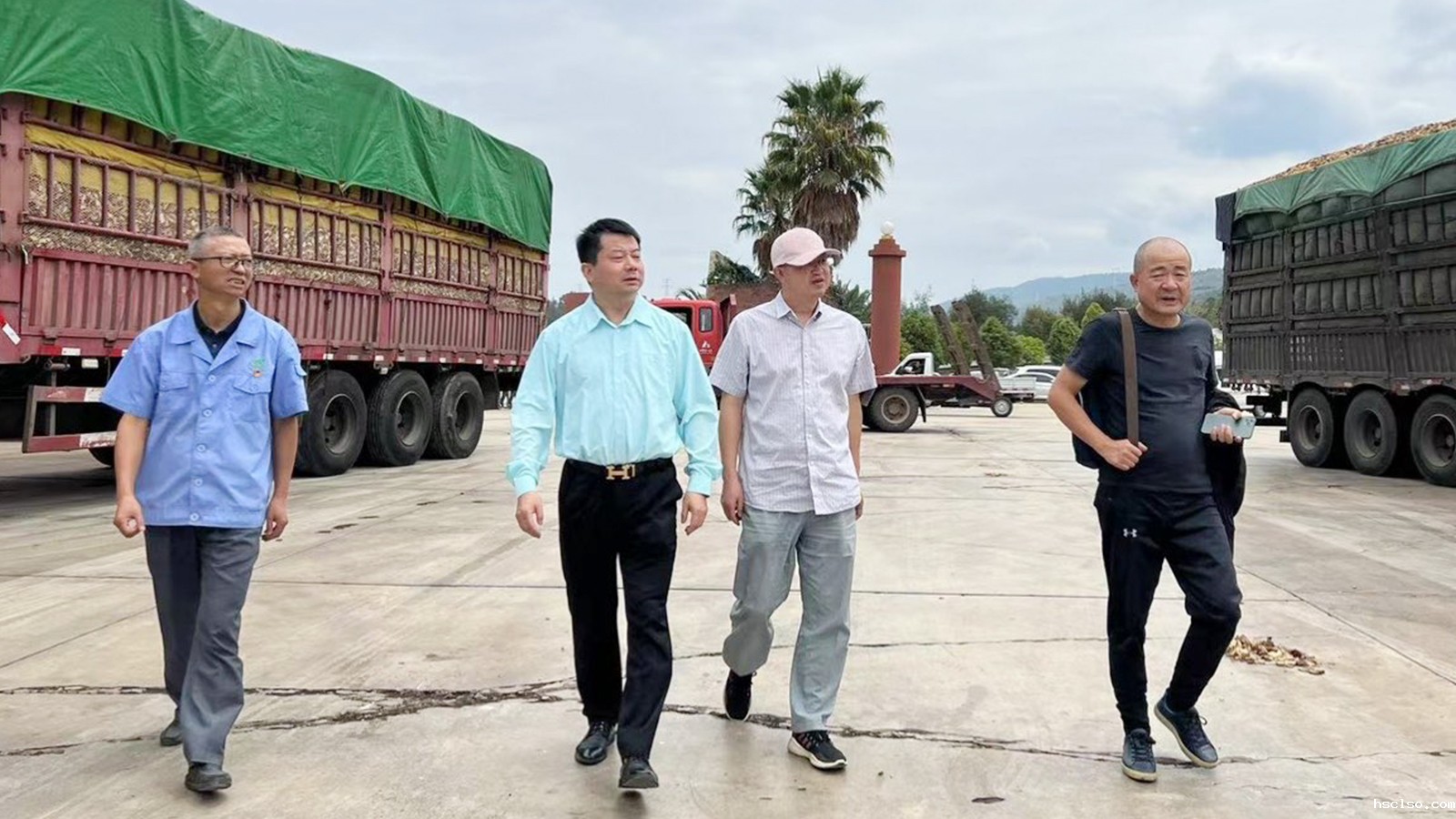 1686705464585017.jpg 1686705464585017.jpg