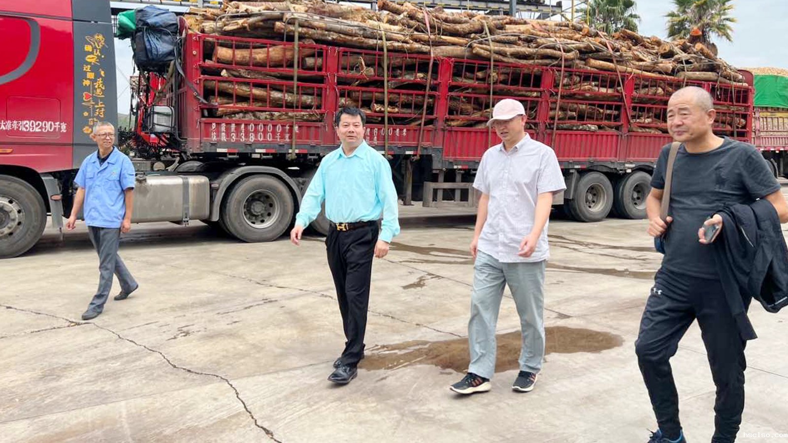 1686705485231984.jpg 1686705485231984.jpg